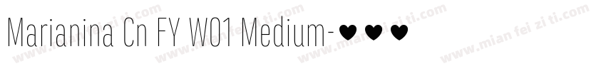 Marianina Cn FY W01 Medium字体转换